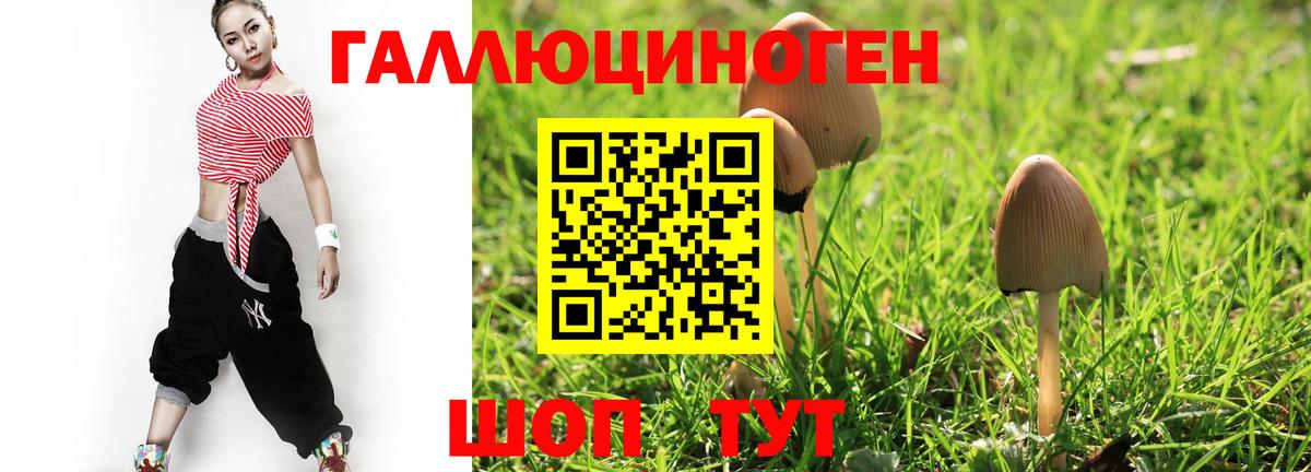 Галлюциногенные грибы Psilocybe  Вход с VPN  Ноябрьск  Галлюциногенные грибы Psilocybine cubensis 